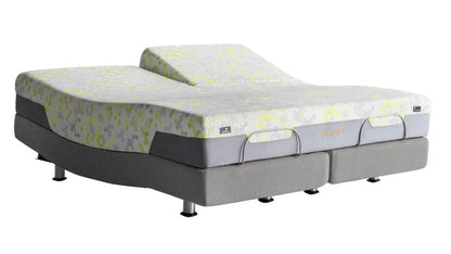 ErgoBed 450 Adjustable Bed Frame